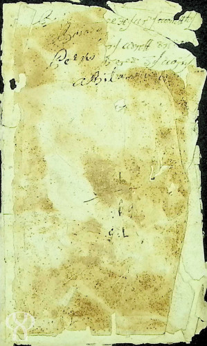 Ostatci knjižice žakna Tomića Romića