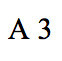 A3